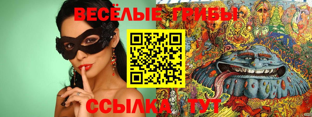 Галлюциногенные грибы Psilocybe Богородицк