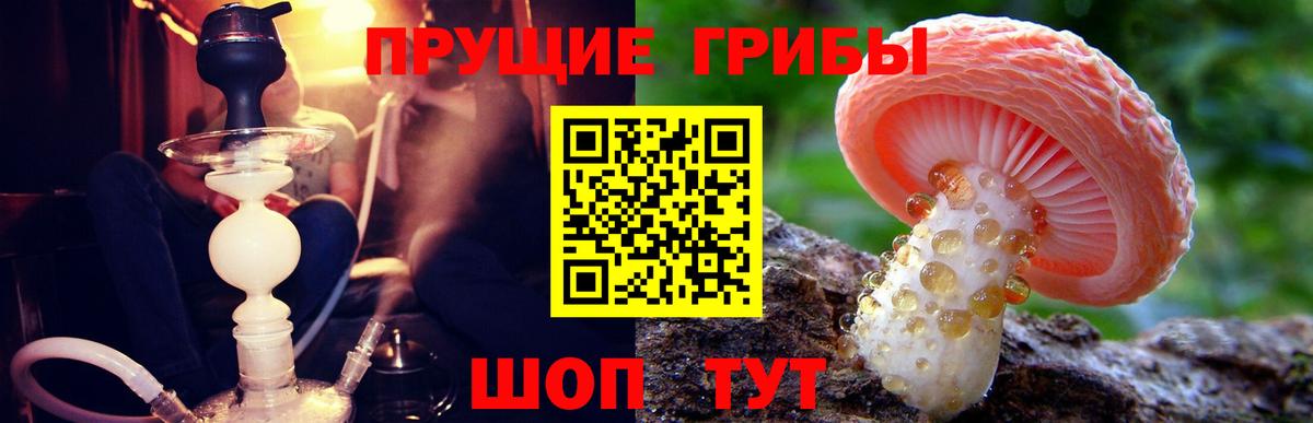 Галлюциногенные грибы Psilocybe  Вход с VPN  Богородицк  Галлюциногенные грибы ЛСД 
